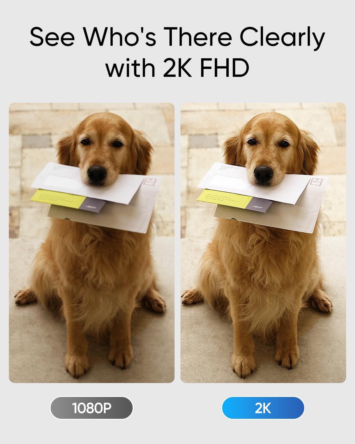 eufy C30 Video Doorbell