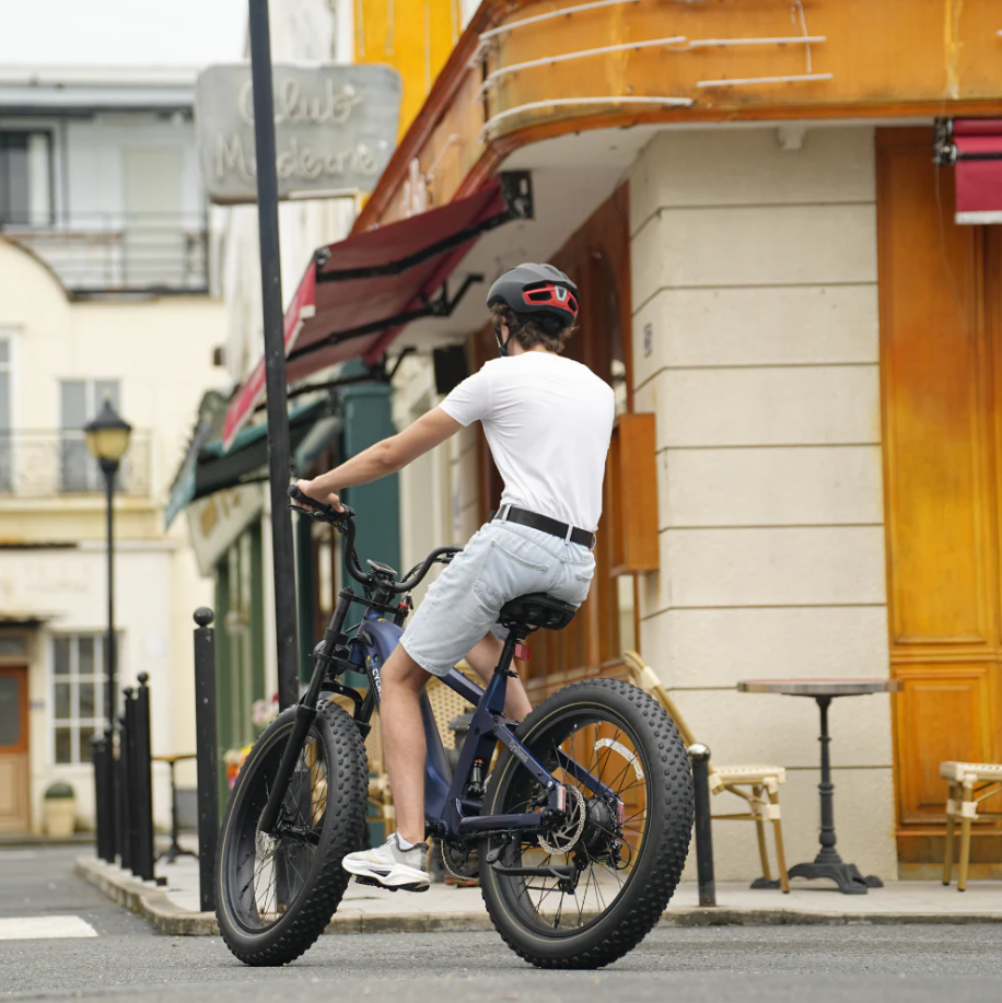 CYCROWN Roma All-Terrain Ebike