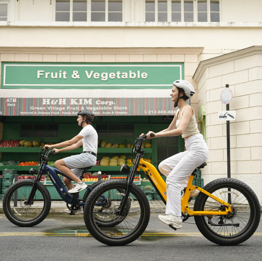 CYCROWN Roma All-Terrain Ebike