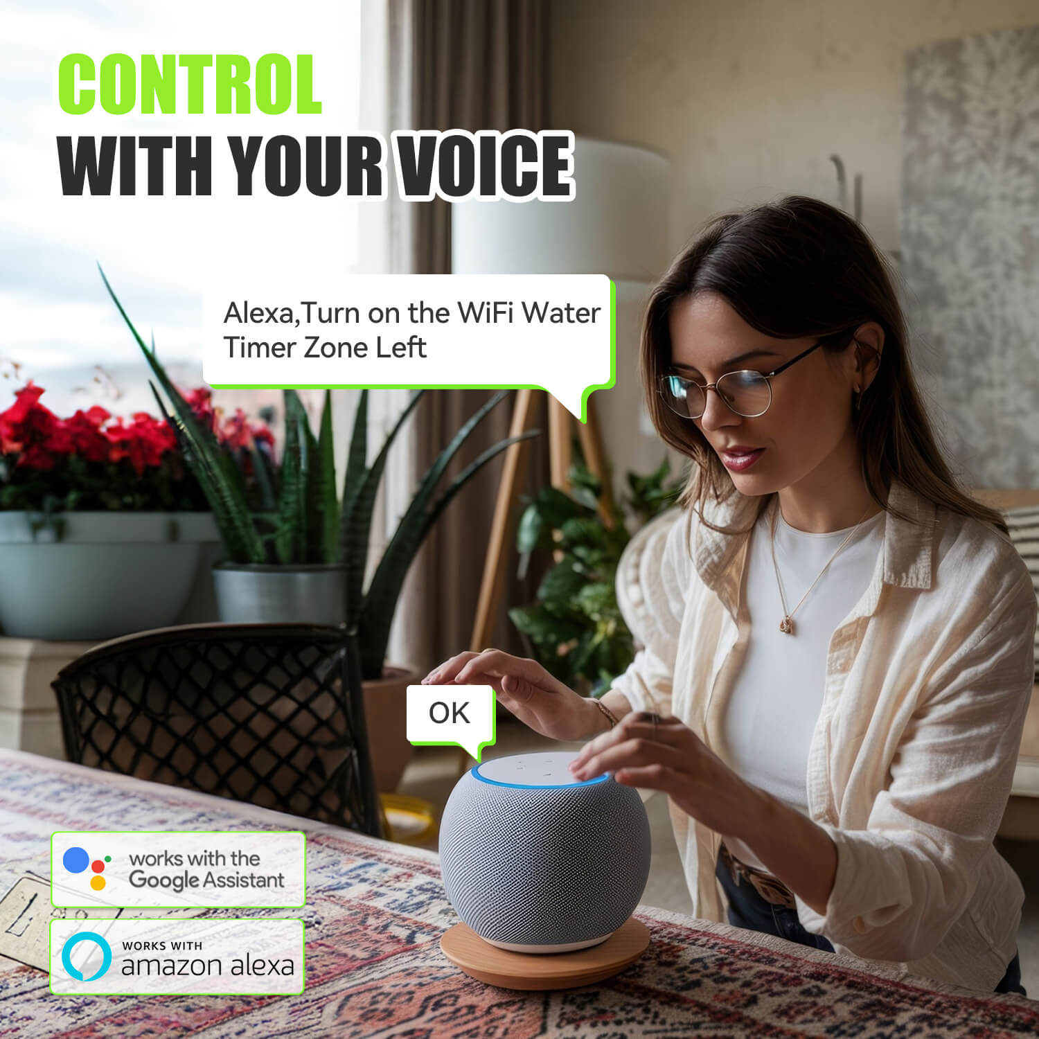 Rainpoint 2-ZONE WIFI HOSE TIMER WITH GATEWAY