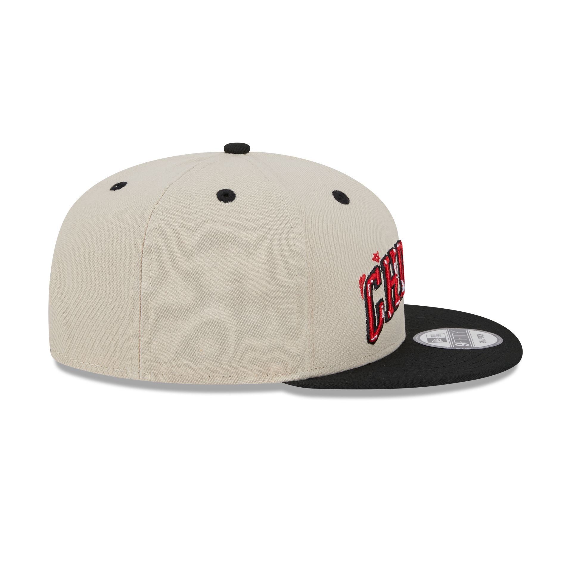 Chicago Bulls Team Art 9FIFTY Snapback Hat