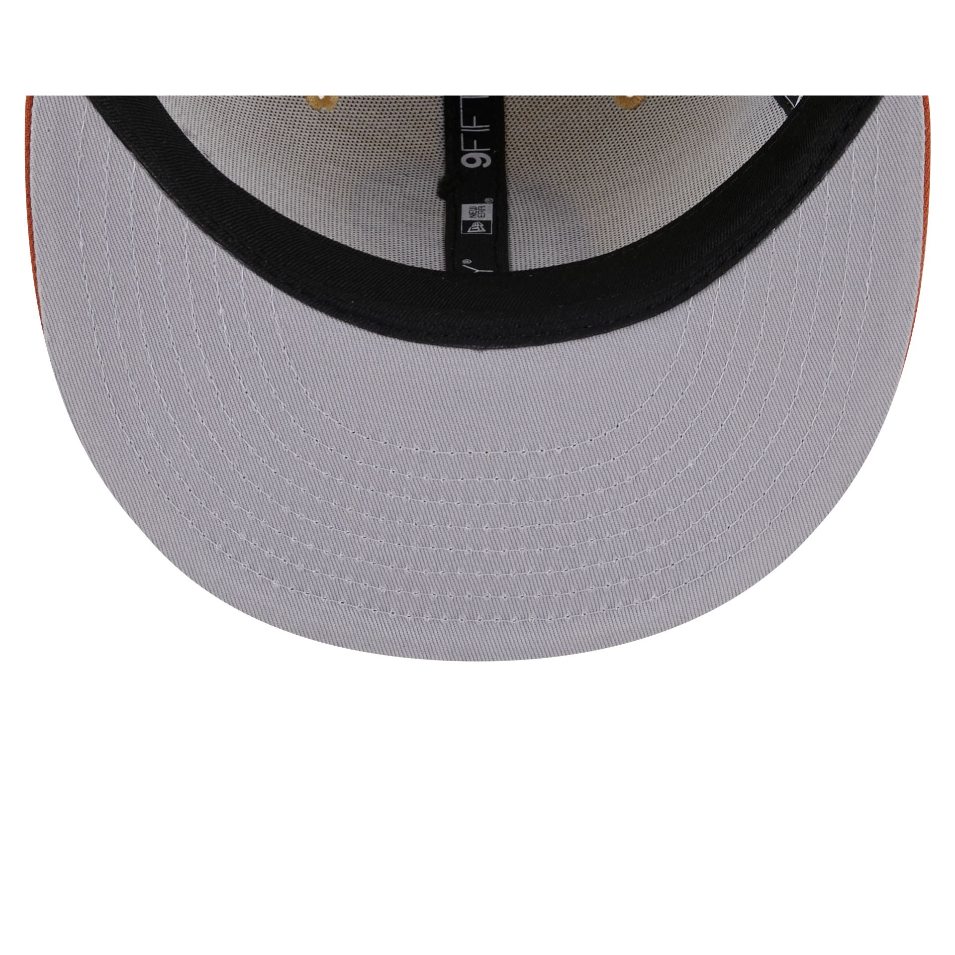 Philadelphia Phillies Fall Landscape 9FIFTY Snapback Hat