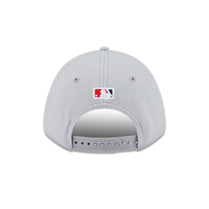Washington Nationals 2025 Clubhouse Gray 9FORTY M-Crown Snapback Hat