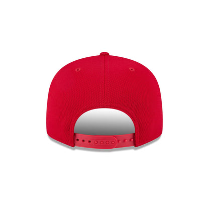 St. Louis Cardinals 2025 Clubhouse Alt 9FIFTY Snapback Hat