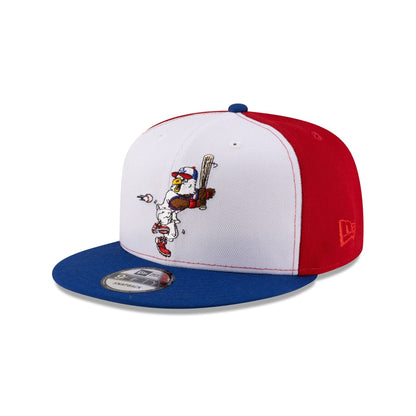 Washington Nationals Mascot Multi 9FIFTY Snapback Hat