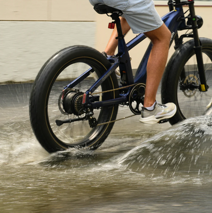 CYCROWN Roma All-Terrain Ebike