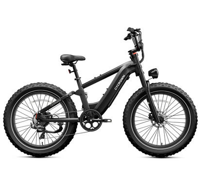 CYCROWN Roma All-Terrain Ebike