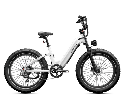 CYCROWN Roma All-Terrain Ebike