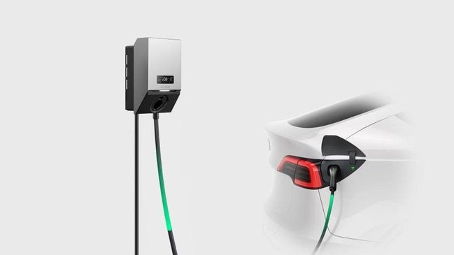 Ecoflow Delta Pro Ultra Powerstation with PowerPulse EV Charger - 9.6kW